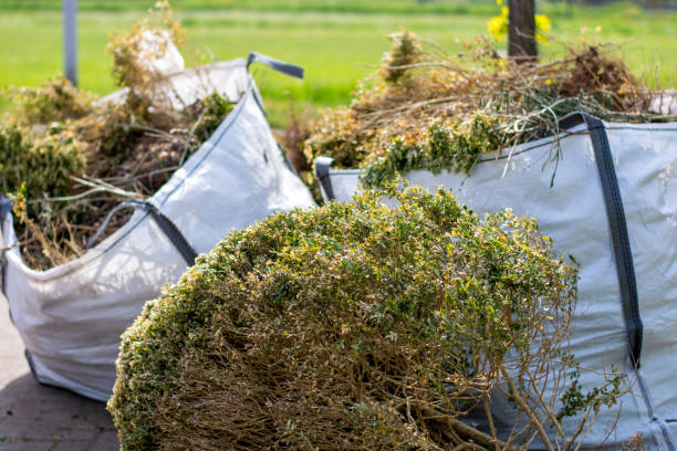 Professional Junk Removal in Mountain View Acres, CA